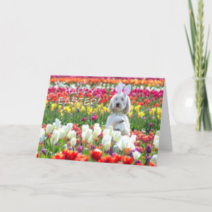 Doodle Happy Oaster Card Karte