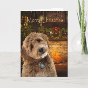 Doodle Hund Weihnachten Karte