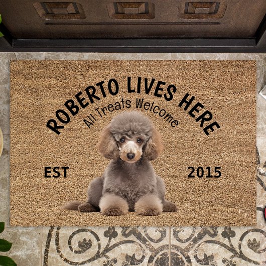 Doodle Personalisiert Hund Lover Doormat Fußmatte