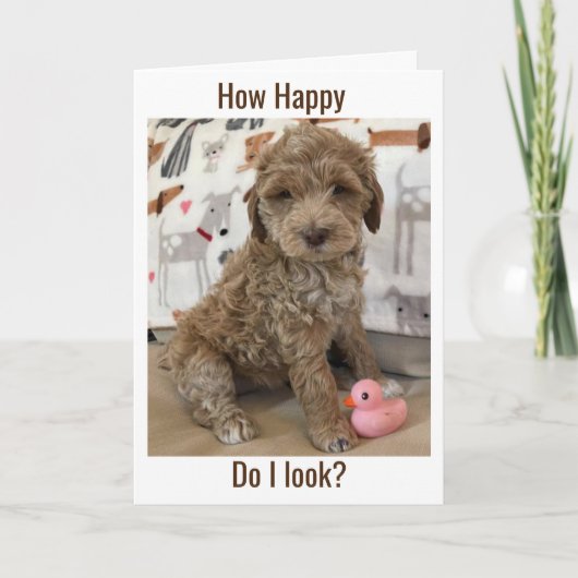 DOODLE PUP WÜNSCHT IHNEN EINEN **A SPÄTER GLÜCKLIC KARTE (Vorderseite)