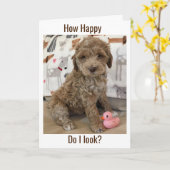 DOODLE PUP WÜNSCHT IHNEN EINEN **A SPÄTER GLÜCKLIC KARTE (Gelbe Blume)