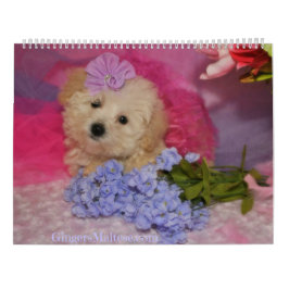 Doodle Welpen-Kalender Kalender