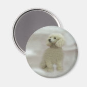 Doodles sind Himmlisch Magnet (Vorderseite/Rückseite)