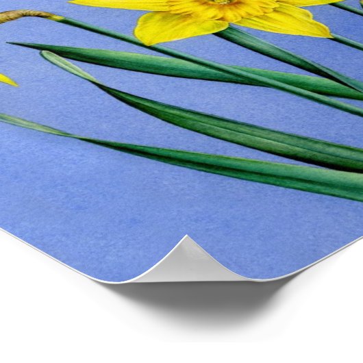 Doofodis Botanisches Kunstposter Poster (Ecke)