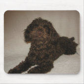 doogy mousepad (Vorne)