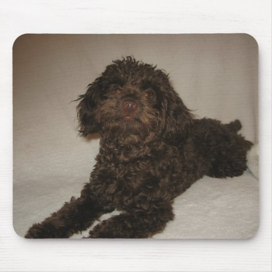 doogy mousepad (Vorne)