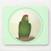 Dooley 1 mousepad (Vorne)