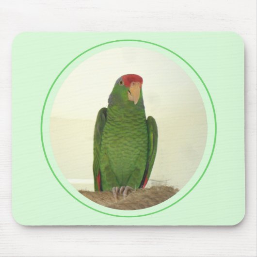 Dooley 1 mousepad (Vorne)