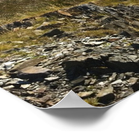 Doolough Poster (Ecke)