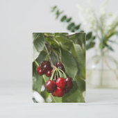 Door Country Cherries Postkarte (Stehend Vorderseite)