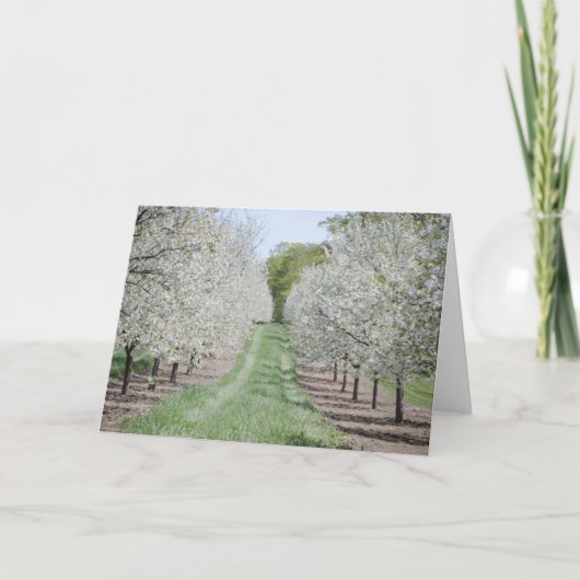 Door Landkreis Cherry Tree Notecard Karte (Vorderseite)