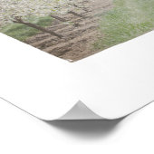 Door Landkreis Cherry Trio Poster (Ecke)