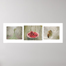 Door Landkreis Cherry Trio Poster
