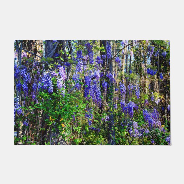 Door Mat mit Wisteria Design Fußmatte (Vorderseite)