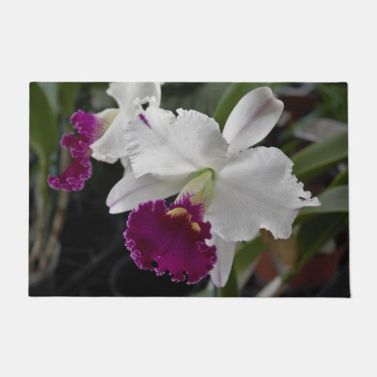 Doormat Orchid White Lila Fußmatte (Vorderseite)
