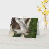 Dopey Karte (Gelbe Blume)