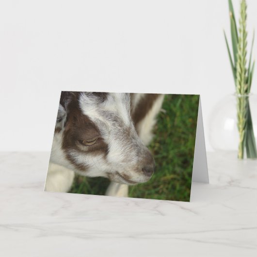 Dopey Karte (Vorderseite)