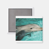 Dophin-Blauer Ozean Magnet (Vorderseite/Rückseite)