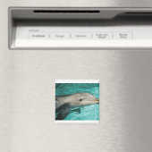Dophin-Blauer Ozean Magnet (In Situ (Geschirrspüler))