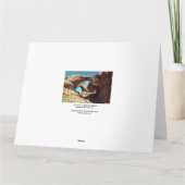 Doppel Arch Utah Wüste Landschaftsbild Foto Karte (Rückseite)