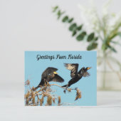 Doppel Crested Cormorant - Grüße Postkarte (Stehend Vorderseite)
