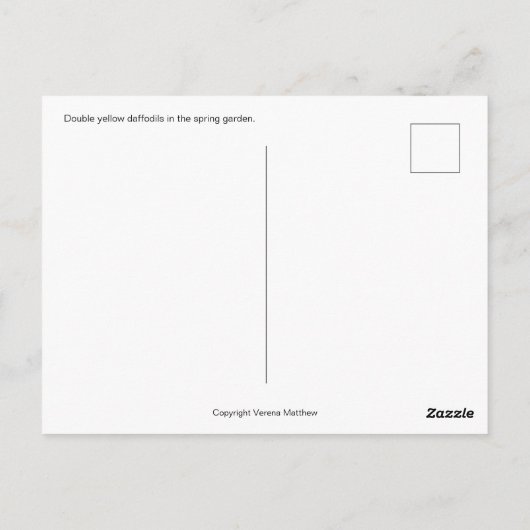 Doppel-Daffodien Postkarte (Rückseite)