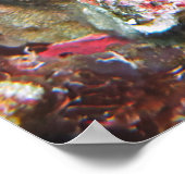Doppel-Falkenfisch Poster (Ecke)