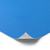 Doppel-Frigatebirts Poster (Ecke)