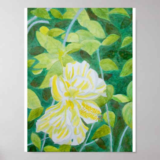 Doppel-Hibiskus Blume Aquarell Poster (Vorne)