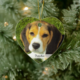Doppel Hund Bild Weihnachtsbaum Ornament