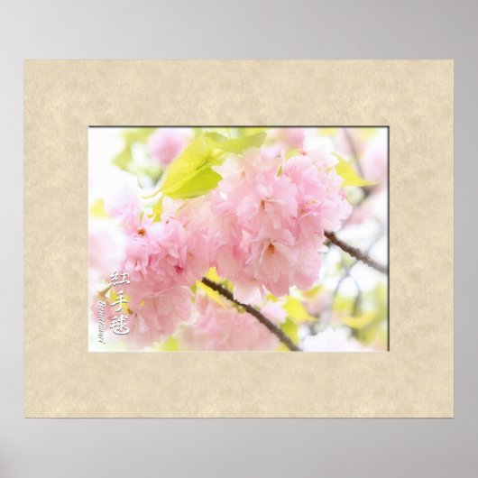 Doppel-Kirschblossom: Benitemari Poster (Vorne)