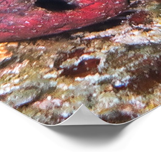 Doppel-Lizardfish Poster (Ecke)