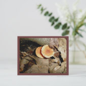 Doppel Orange Pilze Postkarte (Stehend Vorderseite)