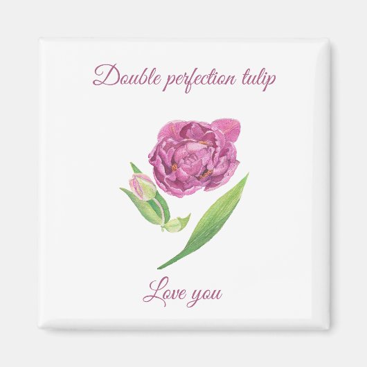 Doppel-Perfektion lila-magenta-tulip-Aquarell Magnet (Vorne)