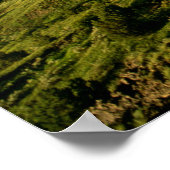 Doppel-Regenbogen über den bemalten Canyon in Theo Poster (Ecke)