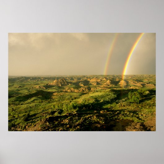 Doppel-Regenbogen über den bemalten Canyon in Theo Poster (Vorne)