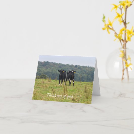 Doppel-Rinder-Problem Denken Sie an Ihre Karte (Gelbe Blume)