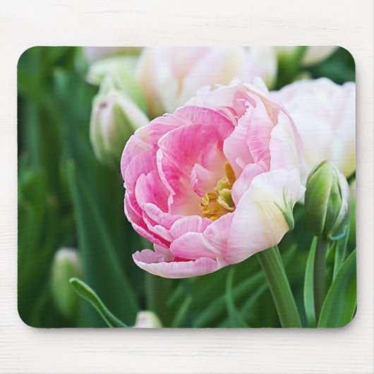 Doppel-Tulips Mousepad (Vorne)
