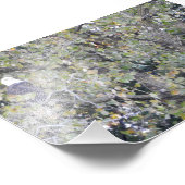 Doppeladler Fotodruck (Ecke)