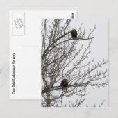 Doppeladler Postkarte (Vorne/Hinten)