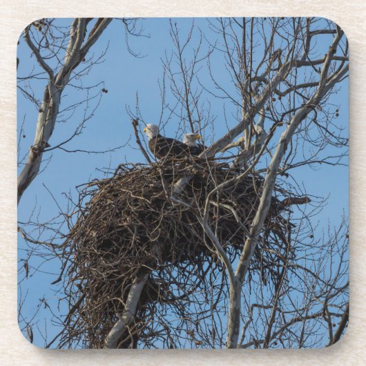 Doppeladlerproblem Getränkeuntersetzer (Vorderseite)
