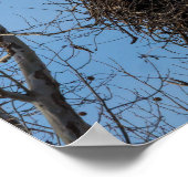 Doppeladlerproblem Poster (Ecke)