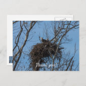 Doppeladlerproblem Postkarte (Vorne/Hinten)