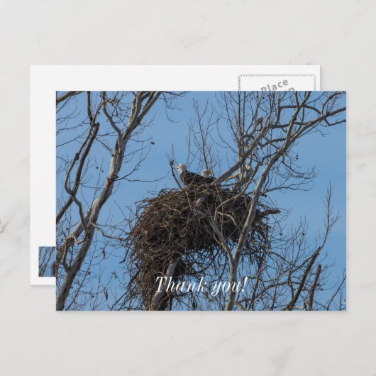 Doppeladlerproblem Postkarte (Vorne/Hinten)