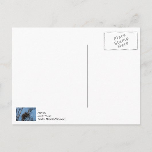 Doppeladlerproblem Postkarte (Rückseite)