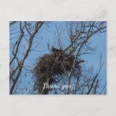 Doppeladlerproblem Postkarte (Vorderseite)