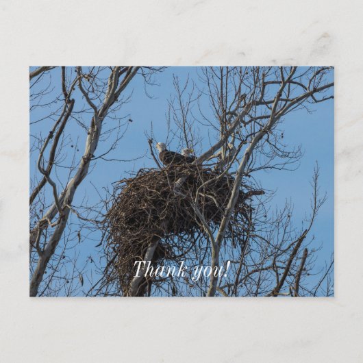 Doppeladlerproblem Postkarte (Vorderseite)