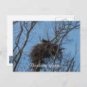 Doppeladlerproblem Postkarte (Vorne/Hinten)