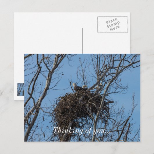 Doppeladlerproblem Postkarte (Vorne/Hinten)