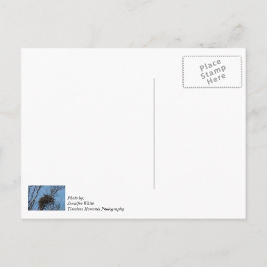 Doppeladlerproblem Postkarte (Rückseite)